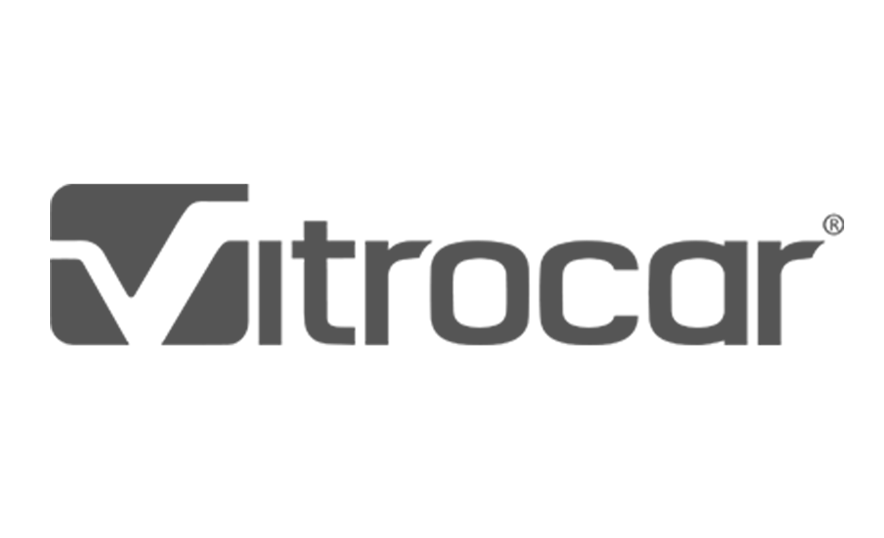 Vitrocar logo 2 gris