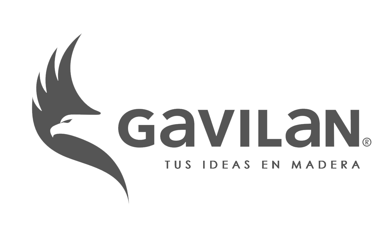 Mg logo5 gris