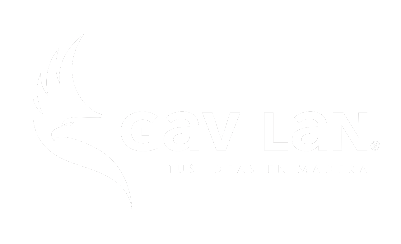 Sección%20Amarilla,%20agencia%20de%20marketing%20digital%20en%20México